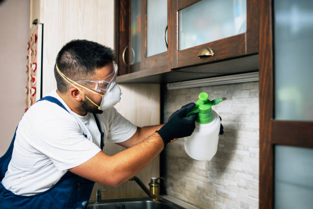 Best Pest Prevention Services  in Argo, AL
